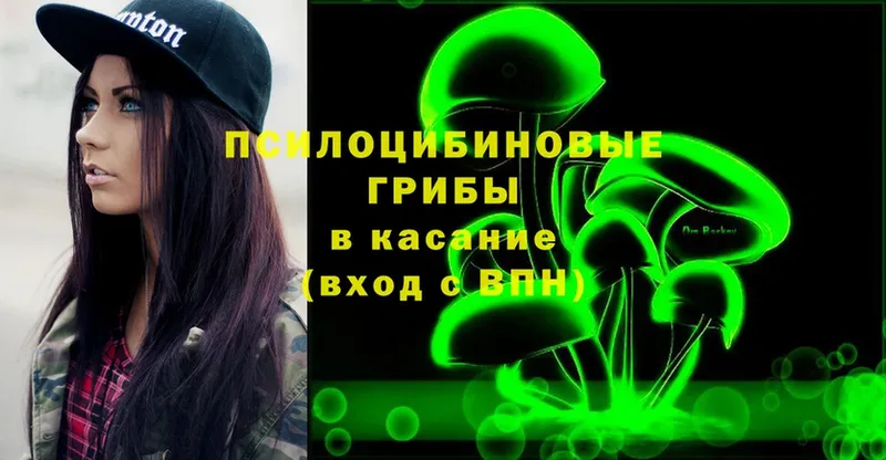 как найти закладки  Белогорск  Галлюциногенные грибы Psilocybe 